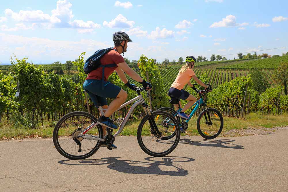 Randonnées à Vélo et VTT autour de Montagne Saint-Emilion